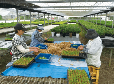 森尾花園の様子